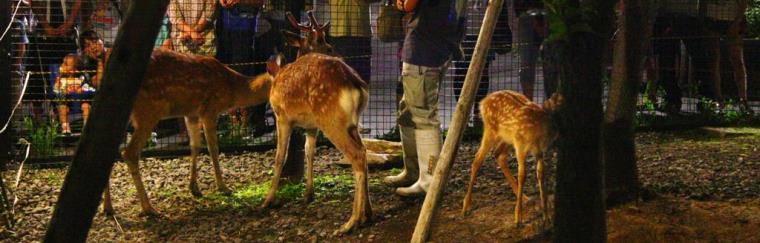 旭川市旭山動物園