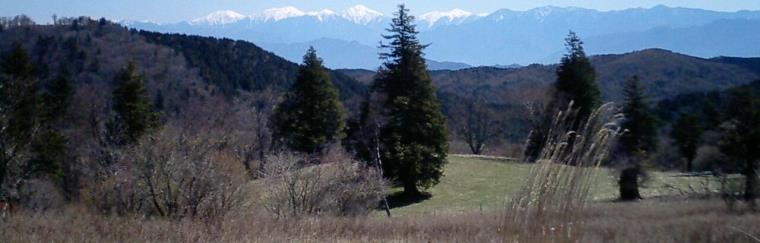 茶臼山高原