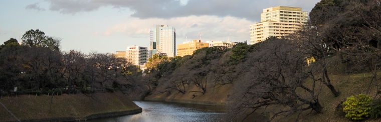 千鳥ヶ淵