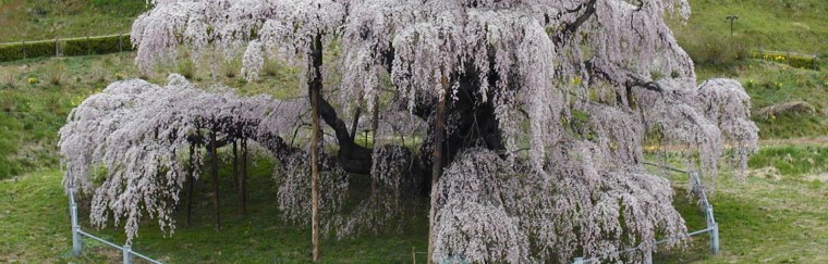 福島県