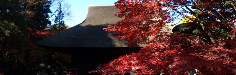 平林寺