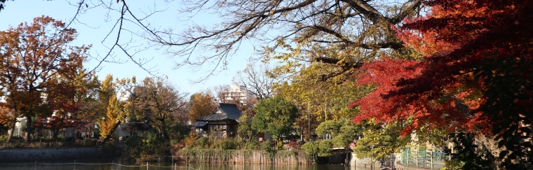 碑文谷公園