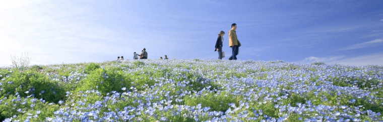 国営ひたち海浜公園