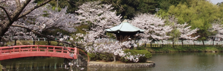 定光寺公園