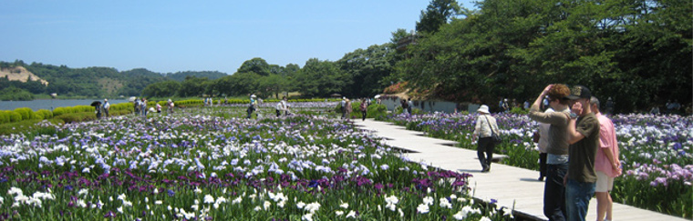 北潟湖畔公園