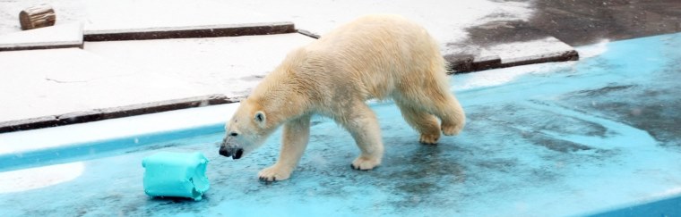 釧路市動物園