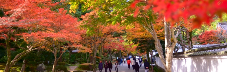 紅葉谷公園