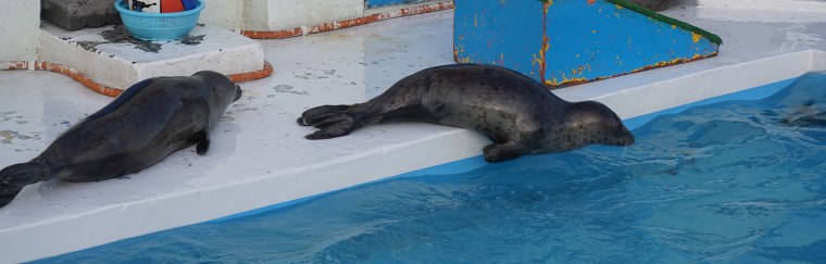 ノシャップ寒流水族館