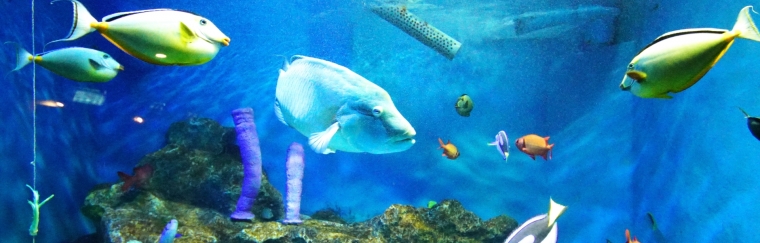 おたる水族館