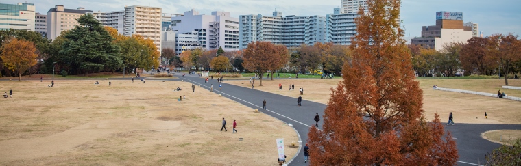 国営昭和記念公園